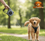 Automatic Retractable Dog Leash compact lightweight body easy to carry for daily walks