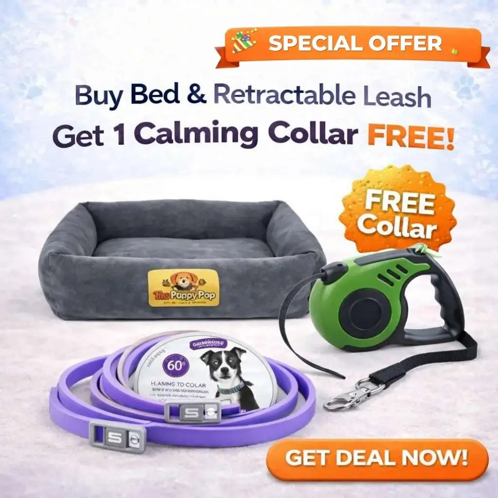 Ultimate Comfort & Control Bundle – Buy Bed + Retractable Leash & Get Calming Collar FREE Main image