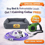 Ultimate Comfort & Control Bundle – Buy Bed + Retractable Leash & Get Calming Collar FREE
