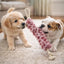 Crinkle Plush Rope Tug Dog Toy with Fluffy Tail
