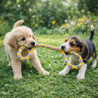Durable Double Handle Dog Tug Toy – Rope Tug-of-War Toy for Dogs (AU)