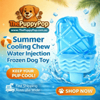 Close-up of water-fill port on frozen cooling dog toy for easy filling and freezing