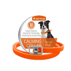 Dog calming collar on large dog adjustable comfort for daily wear