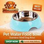 Double layer stainless steel dog bowl with stable BPA-free base – non slip design