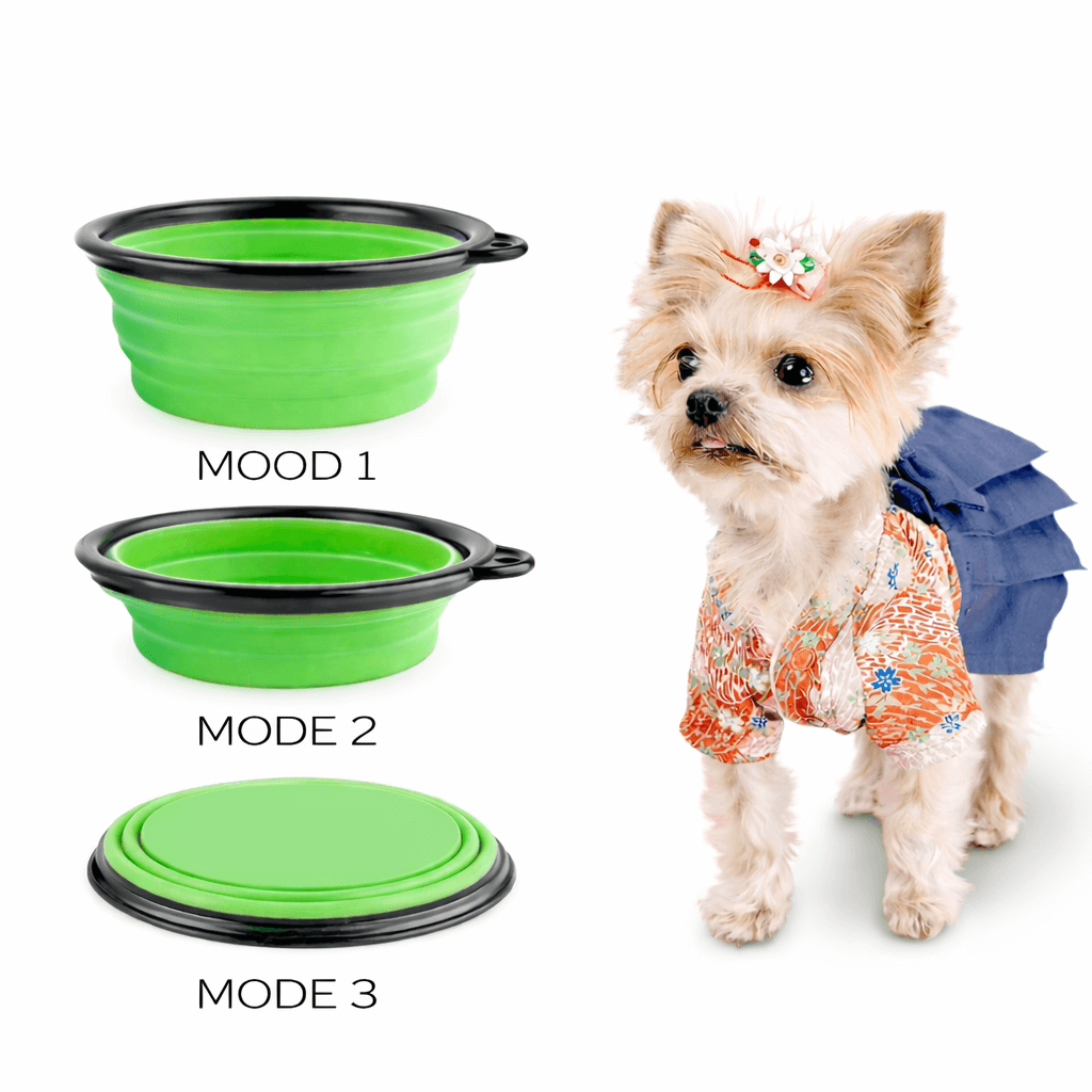 collapsible silicone dog bowl Australia portable design for travel feeding and hydration
