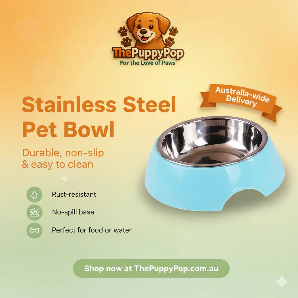 Removable inner double layer stainless steel dog bowl for easy cleaning