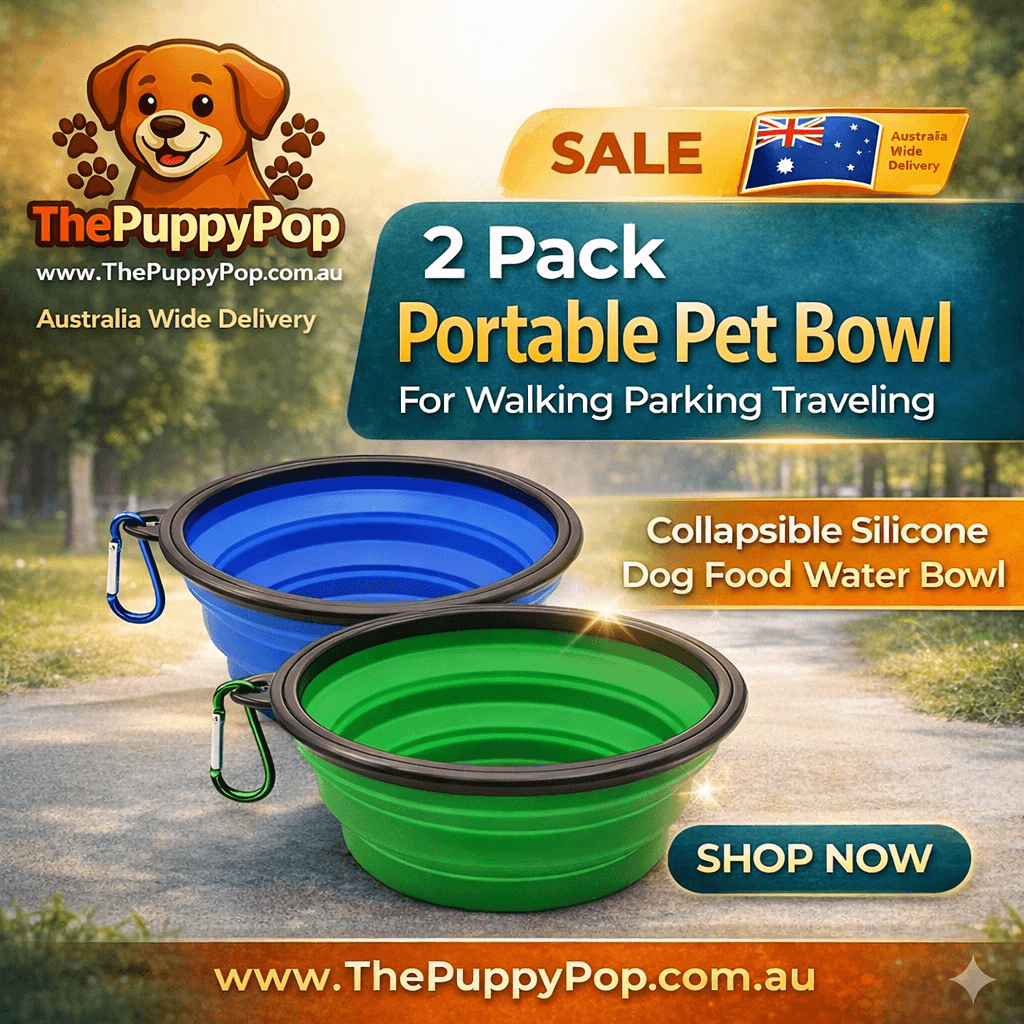collapsible silicone dog bowl Australia for camping road trips and outdoor feeding