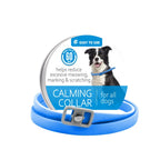 Dog calming collar on small dog comfortable adjustable fit