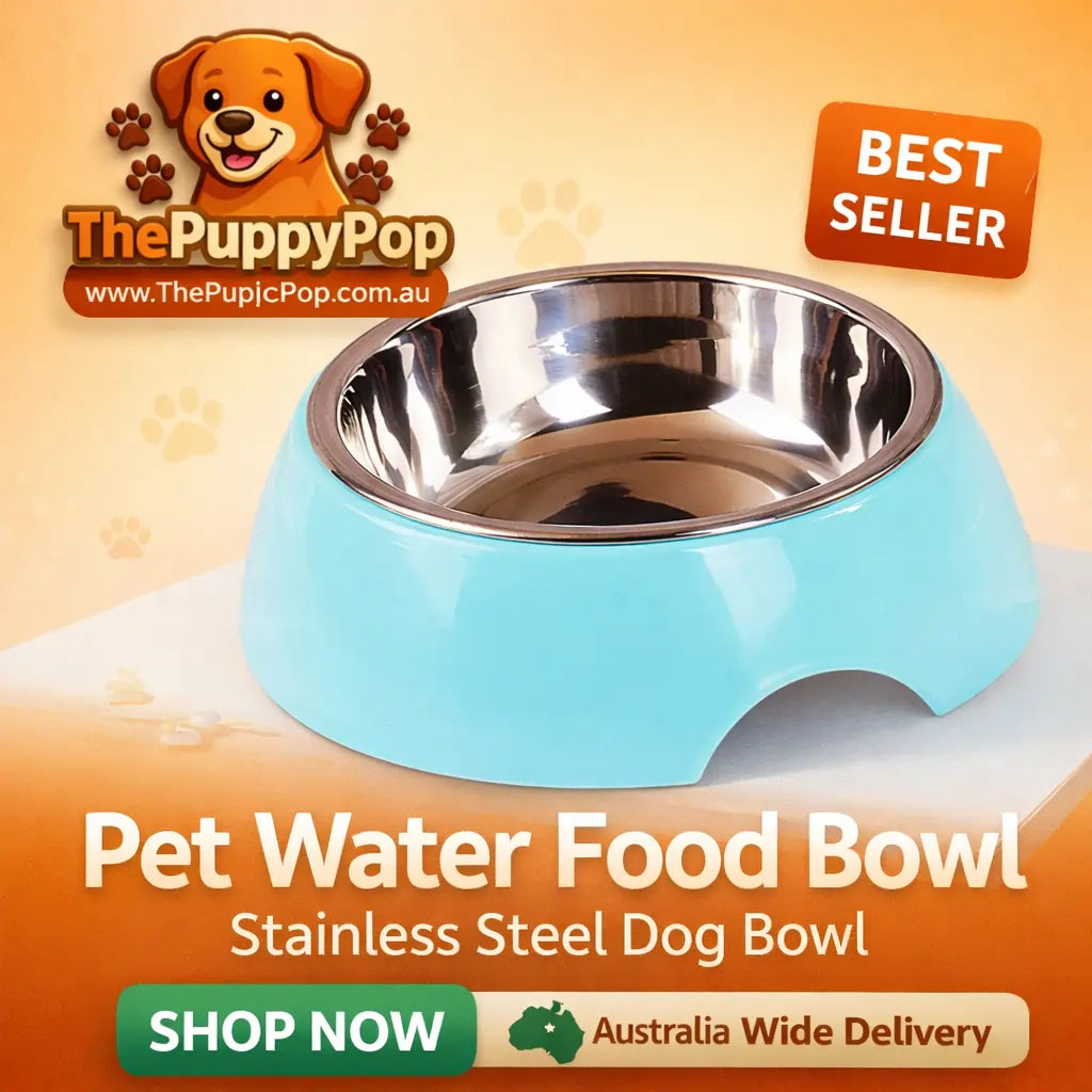 Double layer stainless steel dog bowl top view showing removable inner – The Puppy Pop