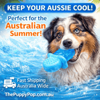 Summer cooling water-fill frozen chew toy for dogs made from pet-safe TPR in Australia