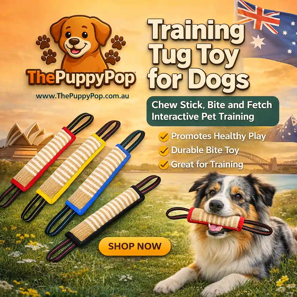 Australian Kelpie puppy chewing on green felt and rope teething stick from The Puppy Pop, indoors on wooden floor.

 Main image