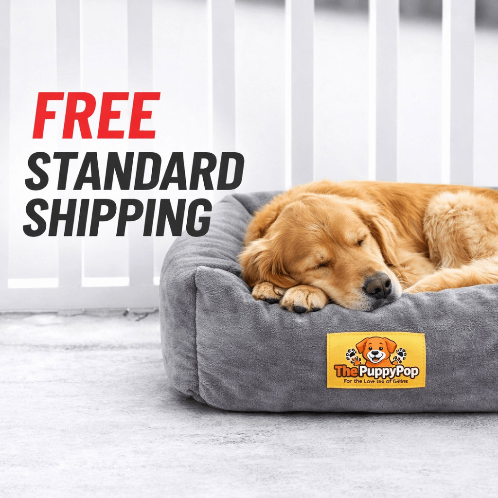 Calming Large Round Pet Bed – Supportive Rim + Anti-Slip Bottom (Grey) Secondary image