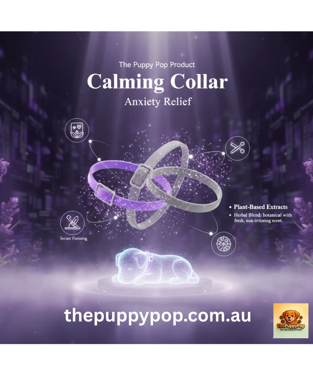 Dog Calming Collar – Anxiety Relief Adjustable Comfort Collar (AU)