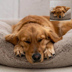 Large size grey dog bed shown with measuring tape – fits Labradors and Staffies

