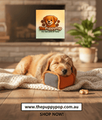 Durable Chew Cube Dog Anxiety Toy – Squeaky Inside